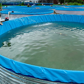 Criação de materiais para piscinas